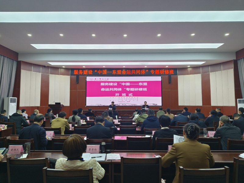 服务建设“中国—东盟命运共同体...